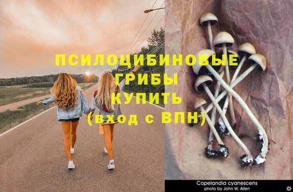 ECSTASY Абинск