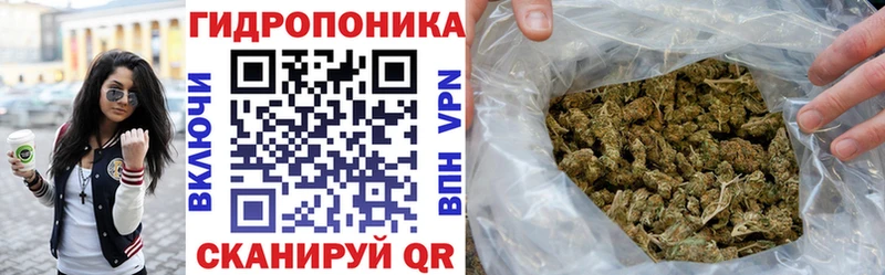 Конопля семена  Серафимович 